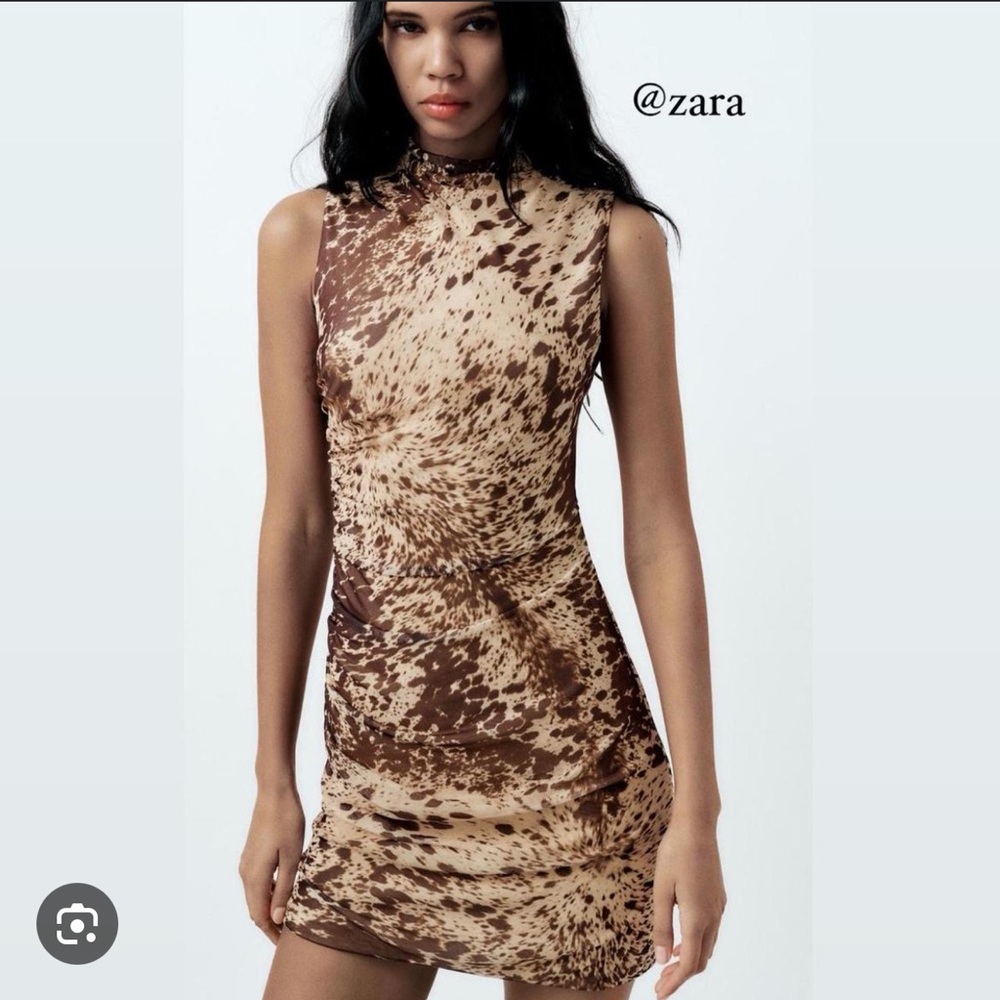 Zara Brown and Cream Animal Print Mini Dress